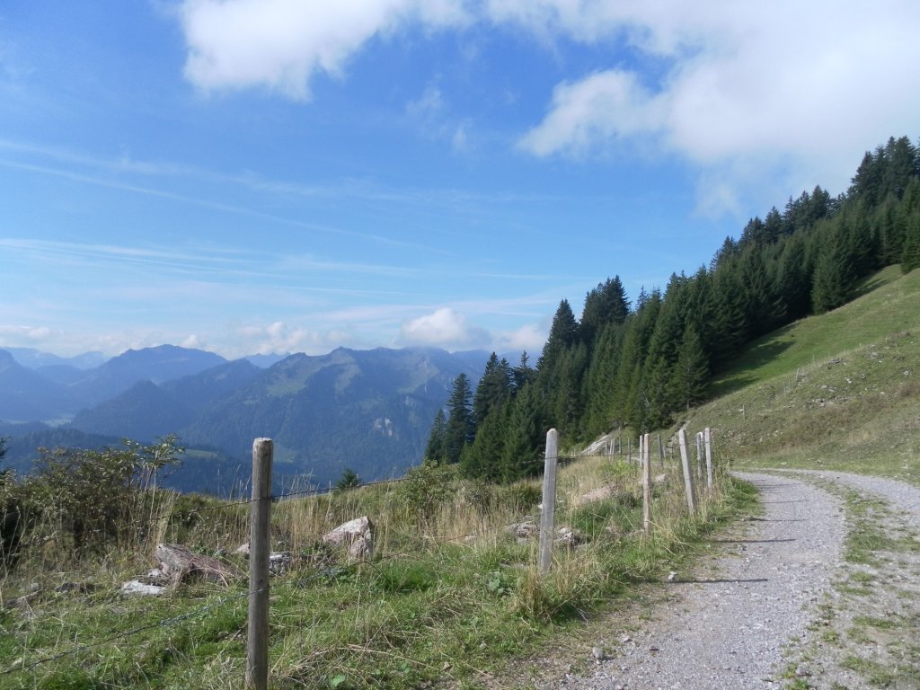 Breiter Güterweg im Gebiet von Rindberg