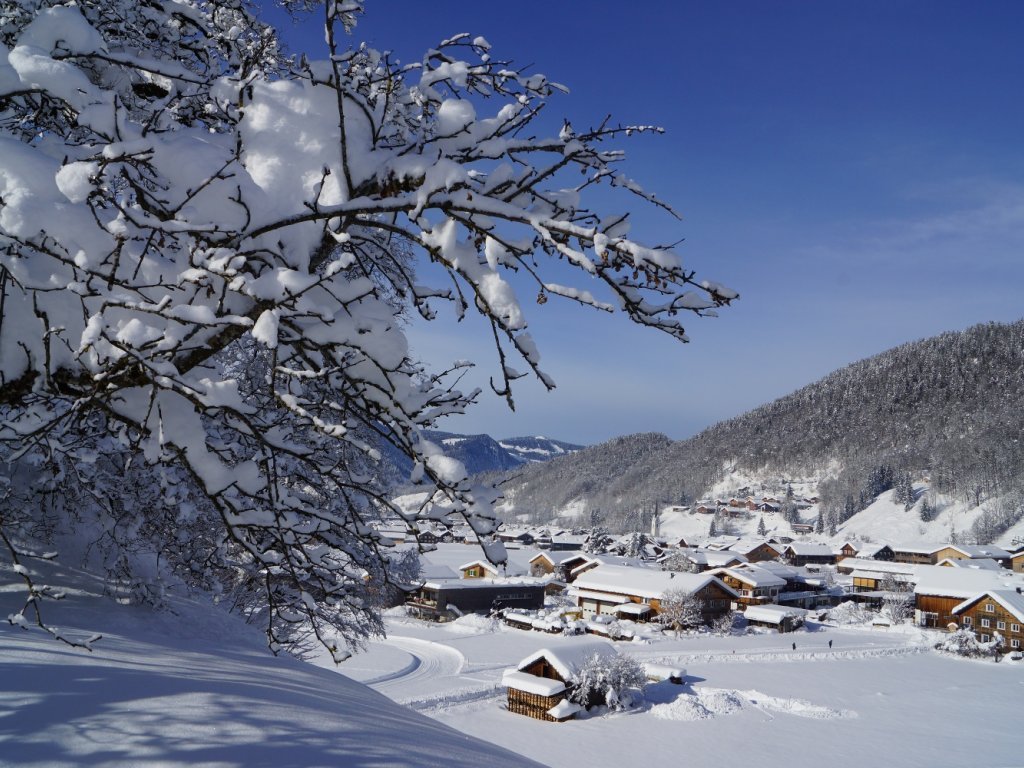 Blick auf Bizau