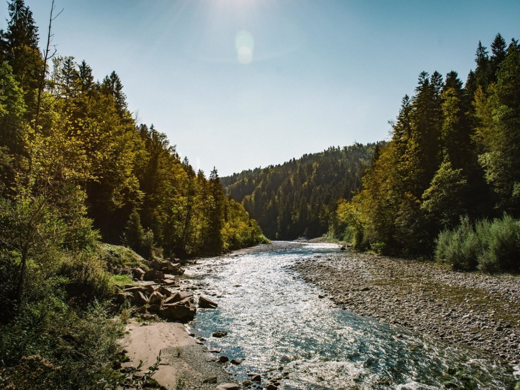 Die Bregenzerache mit schönen Badeplätzen