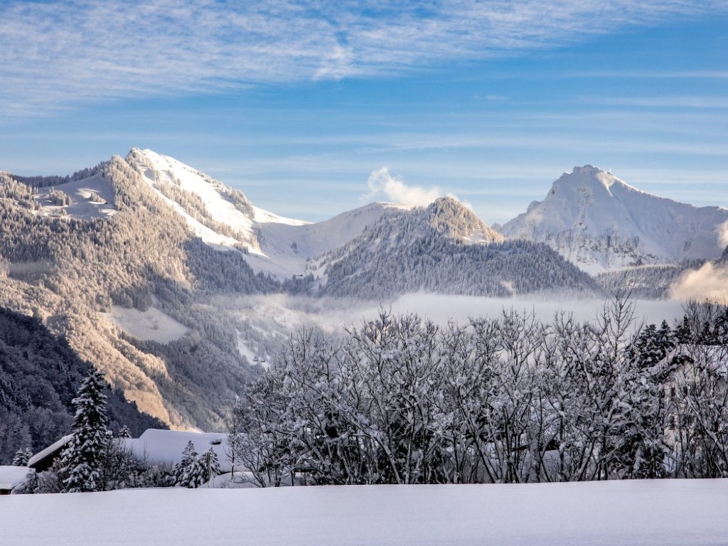 Blick in die verschneite Landschaft