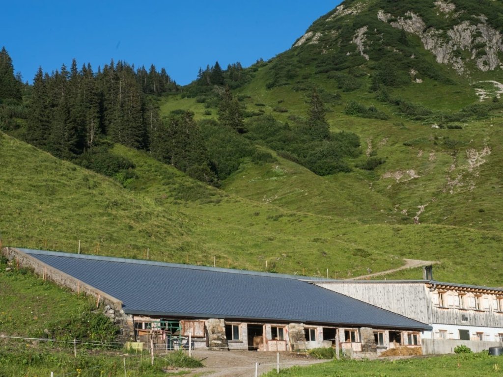 Alpe Hinterüntschen Schoppernau