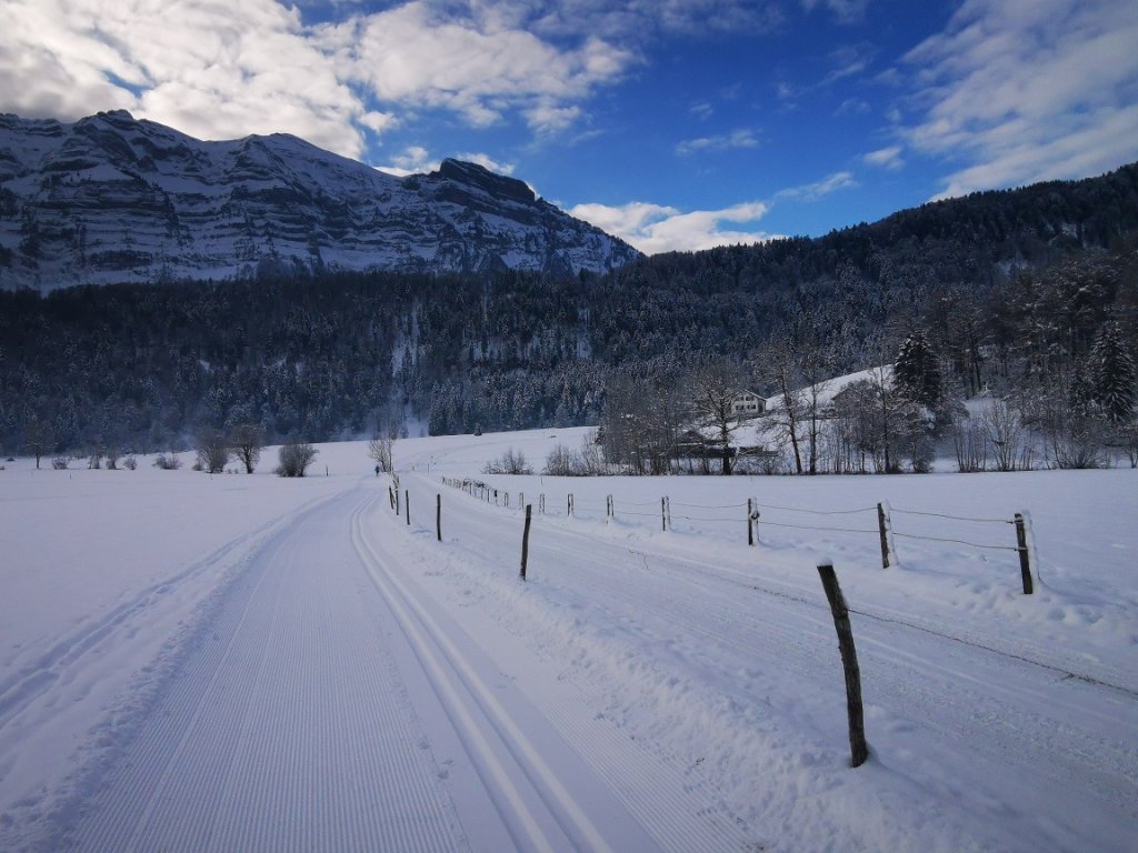 Langlaufloipe in Bizau mit Blick auf die Kanisfluh