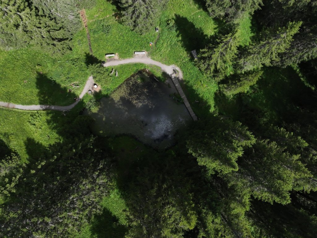 Der Libellensee auf der 3. Etappe vom Grünen Ring