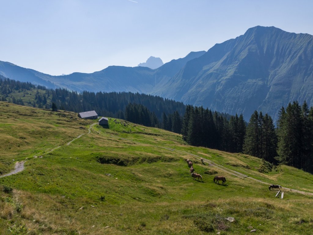 Blick auf Falzalpe