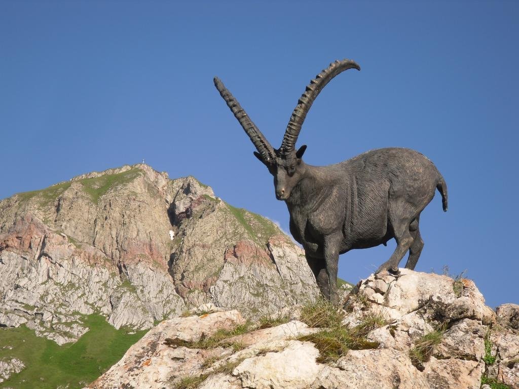 Steinbock-Denkmal