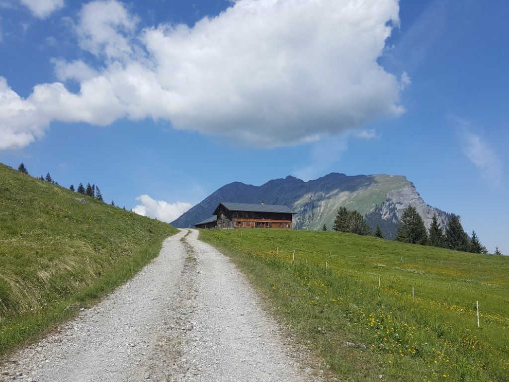 Die Godlachalpe mit der Kanisfluh im Hintergrund