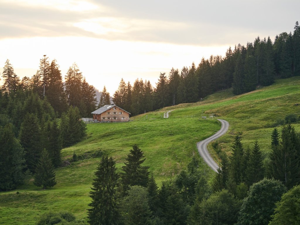 Alpe Ries in Sibratsgfäll in Abendstimmung