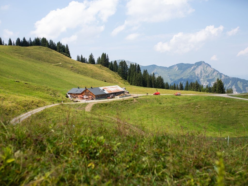 Alpe Wildgunten Mellau