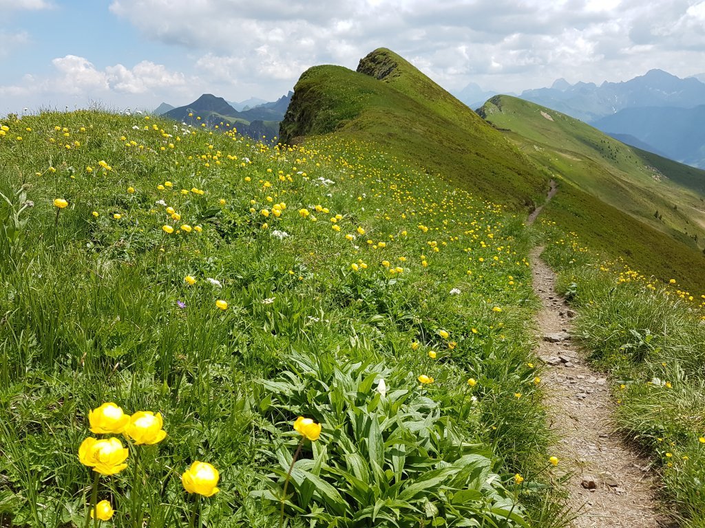 Damülser Rundtour