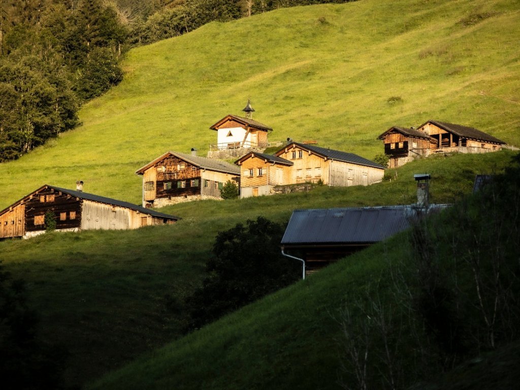 Ahornenvorsäß in Au