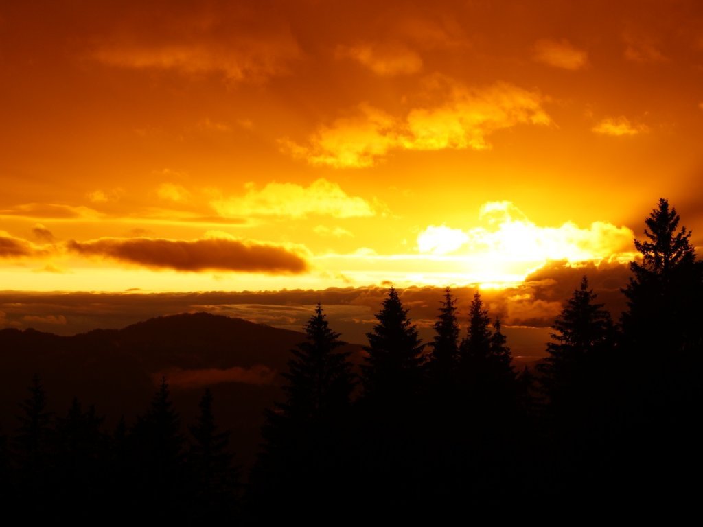 Alpe Unterer Hirschberg