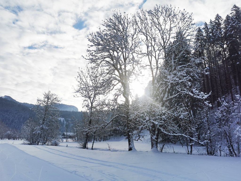 Langlaufloipe Bizau Ulvenbach