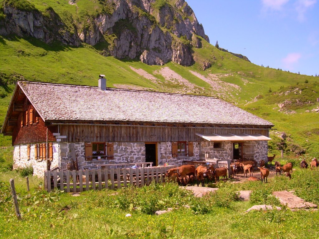 Ziegenalpe Wölflersgunten