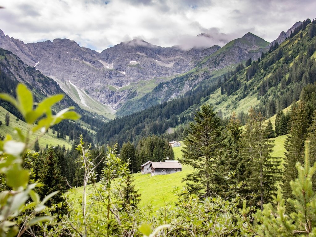 Bodenvorsäß in Au mit Blick auf den Zitterklapfen