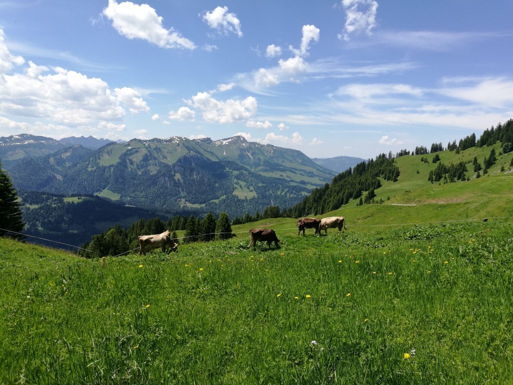 Bereuters Neualpe Sibratsgfäll