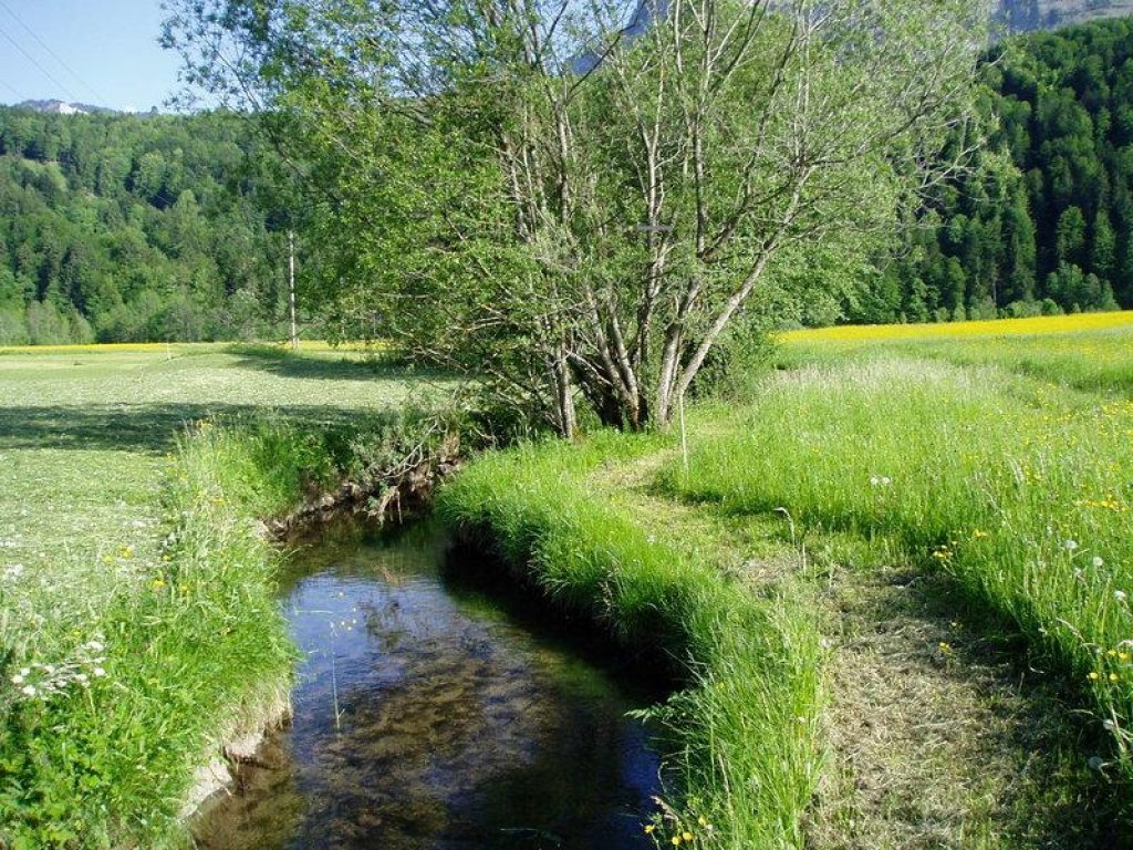 Der Ulvenbach in Bizau