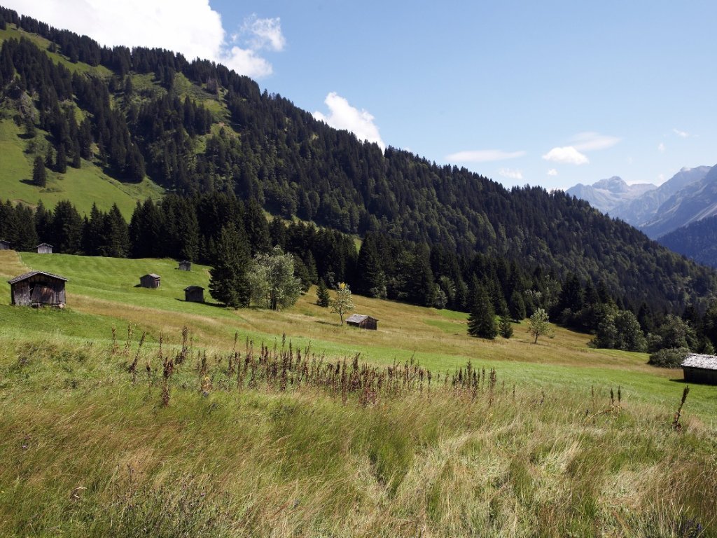 Heuhütten im Vorsäß Au-Schoppernau