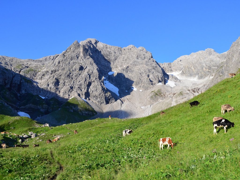 Auf der hinteren Fellealpe