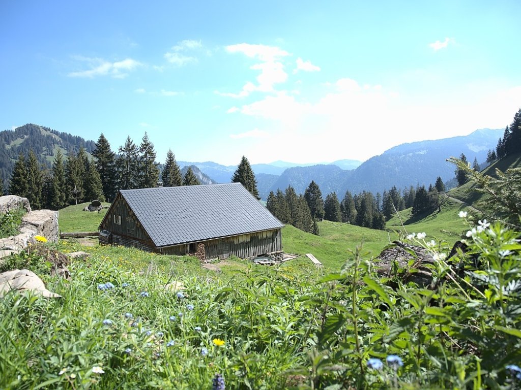 Alpe Rüschers Gunten