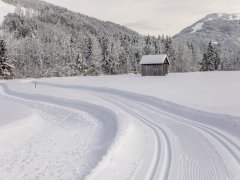 Langlaufen in Mellau