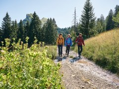 Wandern am Fuße der Kanisfluh